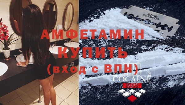прущие грибы Алапаевск