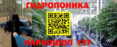 каннабис Берёзовский